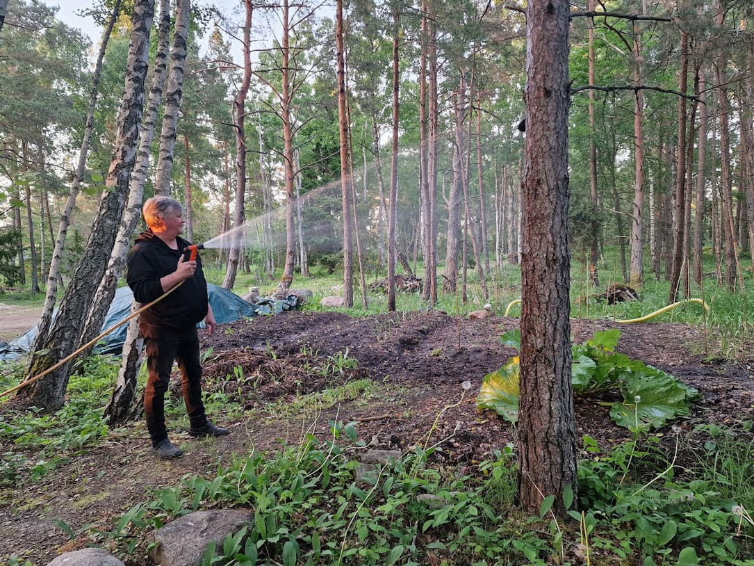 Mies kastelee kasvimaata vesiletkulla