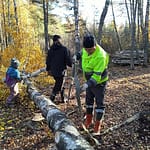 Kaksi miestä ja poika puusavotassa