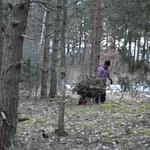 Nainen kerää risuja kottikärryyn