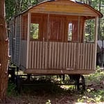 Maalaamaton vankkuri metsän laidassa